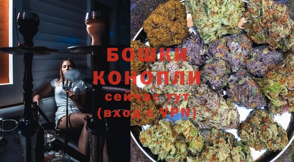 ПСИЛОЦИБИНОВЫЕ ГРИБЫ Нея